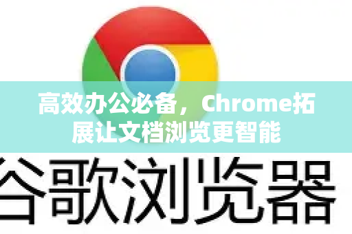 高效办公必备，Chrome拓展让文档浏览更智能