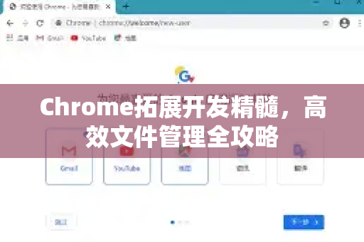 Chrome拓展开发精髓，高效文件管理全攻略