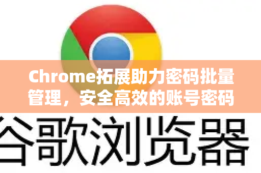 Chrome拓展助力密码批量管理，安全高效的账号密码神器
