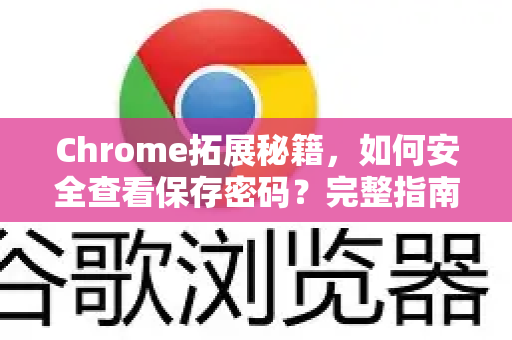 Chrome拓展秘籍，如何安全查看保存密码？完整指南