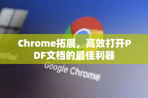 Chrome拓展，高效打开PDF文档的最佳利器