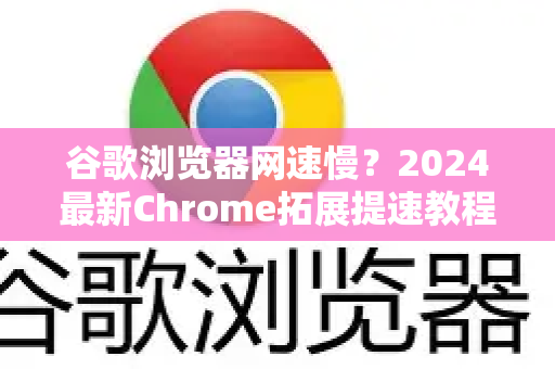 谷歌浏览器网速慢？2024最新Chrome拓展提速教程