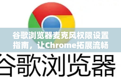 谷歌浏览器麦克风权限设置指南，让Chrome拓展流畅调用麦克风