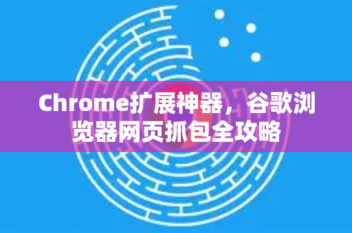 Chrome扩展神器，谷歌浏览器网页抓包全攻略