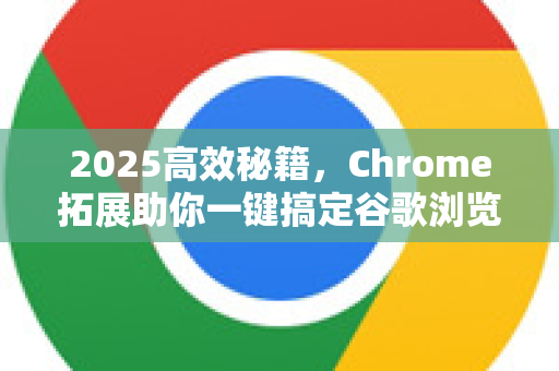 2025高效秘籍，Chrome拓展助你一键搞定谷歌浏览器历史记录删除
