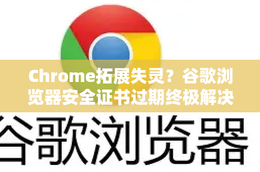 Chrome拓展失灵？谷歌浏览器安全证书过期终极解决方案