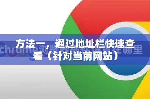 方法一，通过地址栏快速查看（针对当前网站）-第1张图片-谷歌官网|Google Chrome下载-2026最新中文版