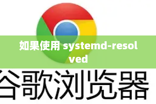 如果使用 systemd-resolved