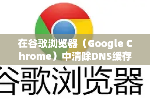 在谷歌浏览器（Google Chrome）中清除DNS缓存，主要有以下几种有效方法，你可以根据情况选择操作