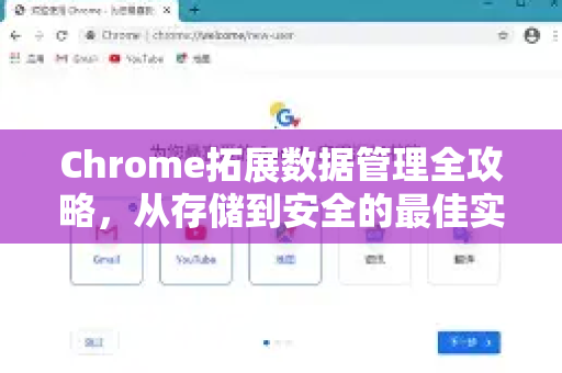 Chrome拓展数据管理全攻略，从存储到安全的最佳实践
