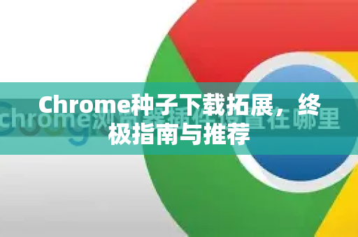 Chrome种子下载拓展，终极指南与推荐-第1张图片-谷歌官网|Google Chrome下载-2026最新中文版