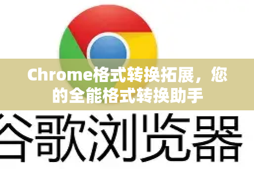 Chrome格式转换拓展，您的全能格式转换助手