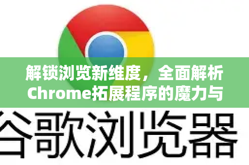 解锁浏览新维度，全面解析Chrome拓展程序的魔力与创造