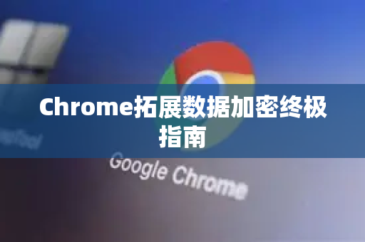 Chrome拓展数据加密终极指南-第1张图片-谷歌官网|Google Chrome下载-2026最新中文版