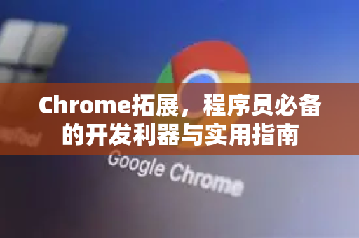 Chrome拓展，程序员必备的开发利器与实用指南-第1张图片-谷歌官网|Google Chrome下载-2026最新中文版