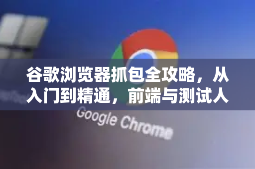 谷歌浏览器抓包全攻略，从入门到精通，前端与测试人员的实战指南